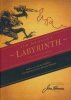 JIM HENSONS LABYRINTH THE NOVELIZATION TP [9781684152995]